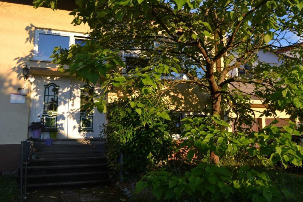 Maison Madlene Frickenhausen  Eksteriør billede